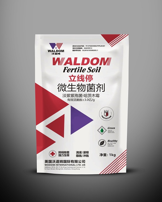 立線(xiàn)停